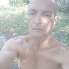 Ярослав, 57, Луга