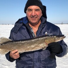 Гавриил, 64, Новосиль