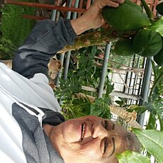 Милена, 63, Макеевка