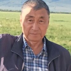 Илья, 68, Новосибирск