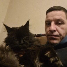 Даня, 43, Фокино (Брянская область)