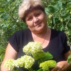 Любовь, 63, Перевоз