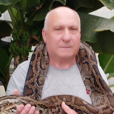 Аркаша, 70, Волгоград