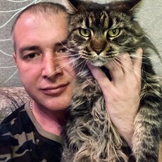 Данила, 41, Амвросиевка