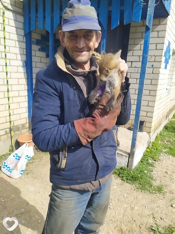 Главное фото