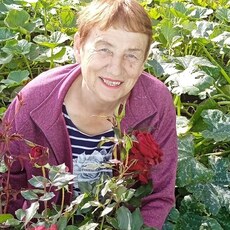 Тома, 65, Макеевка