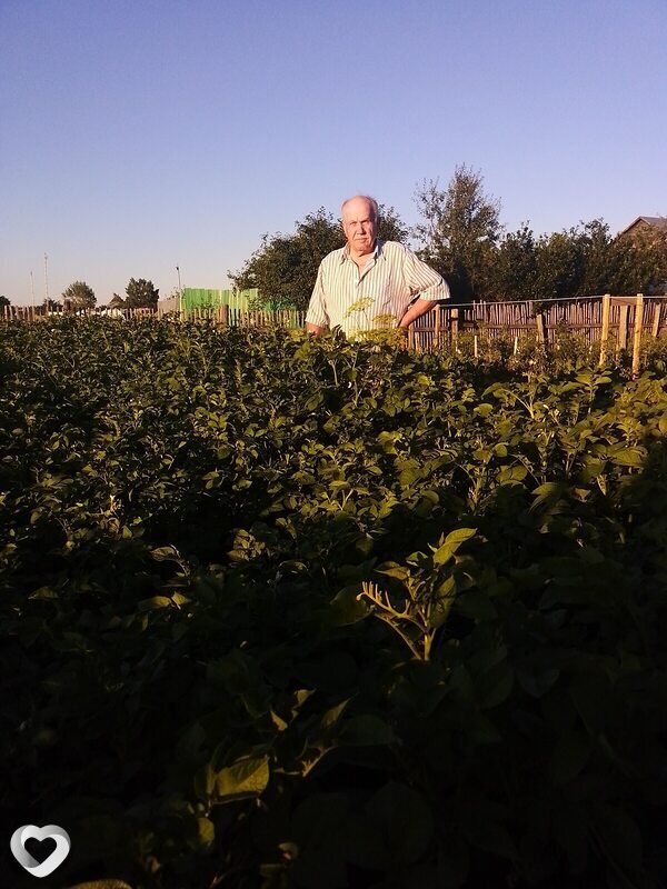 Главное фото