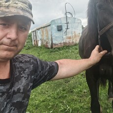 Денис, 53, Полярные Зори