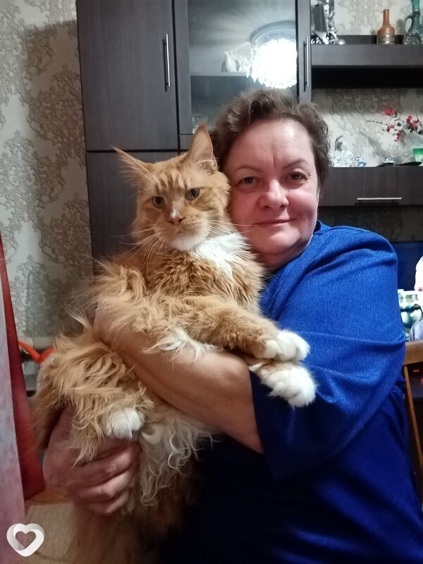 Главное фото