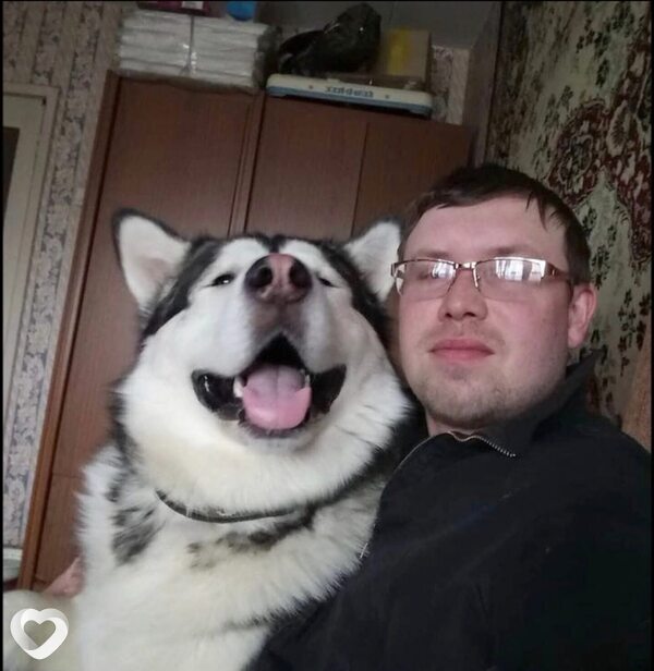 Главное фото