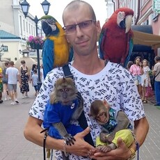 Аркаша, 38, Вологда