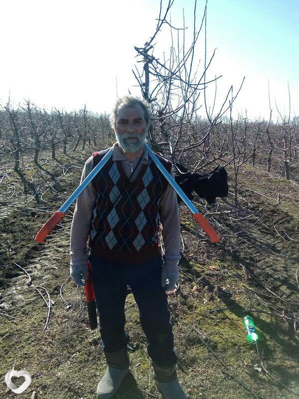 Главное фото