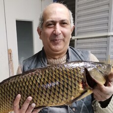 Веня, 56, Лермонтов