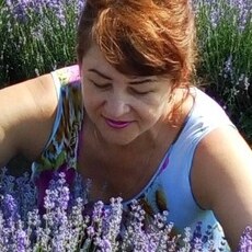 София, 49, Талица