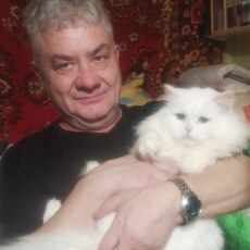 Евгений, 59, Домодедово