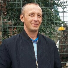 Александр, 41, Михайловск (Свердловская область)