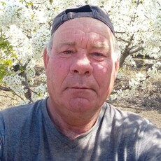 Стёпа, 56, Андреаполь