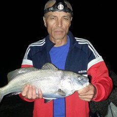 Владислав, 56, Костерёво
