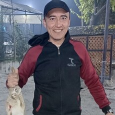 Ян, 31, Ковдор