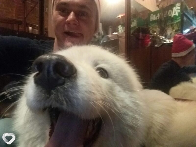 Главное фото