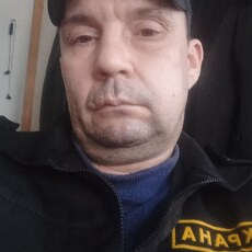Дмитрий, 43, Ковдор