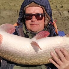 Виссарион, 48, Шумиха