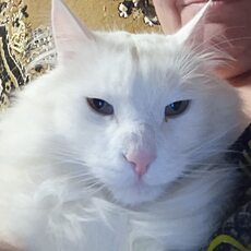 Мария, 44, Таруса