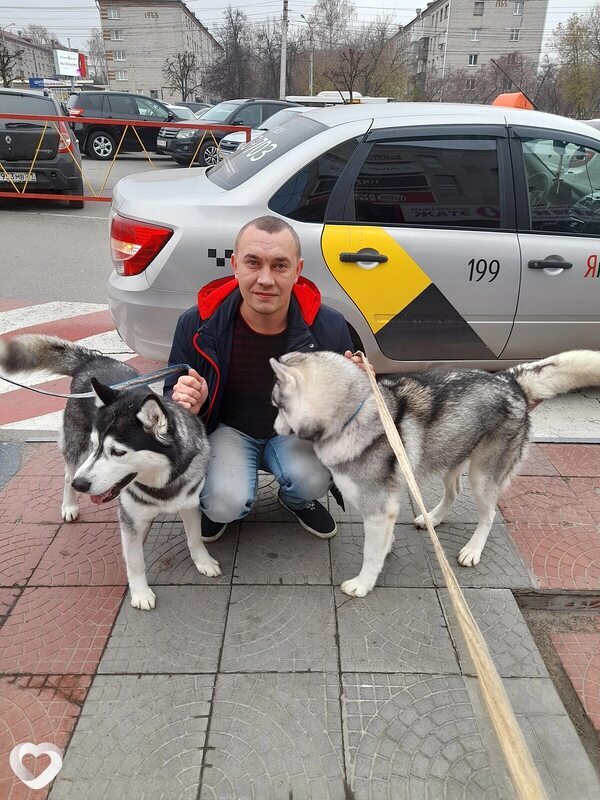 Главное фото