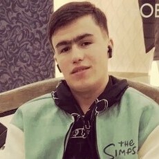 Лев, 21, Заинск