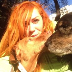 Люба, 35, Шенкурск