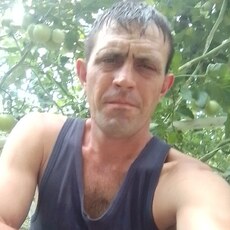 Платоша, 37, Дмитров