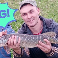 Афаня, 42, Лесной