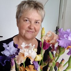 Александра, 58, Шилка